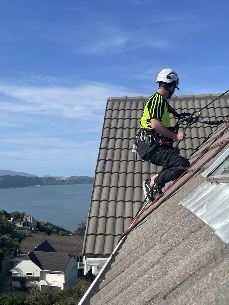 Rope access roof inspection on a Wellington property