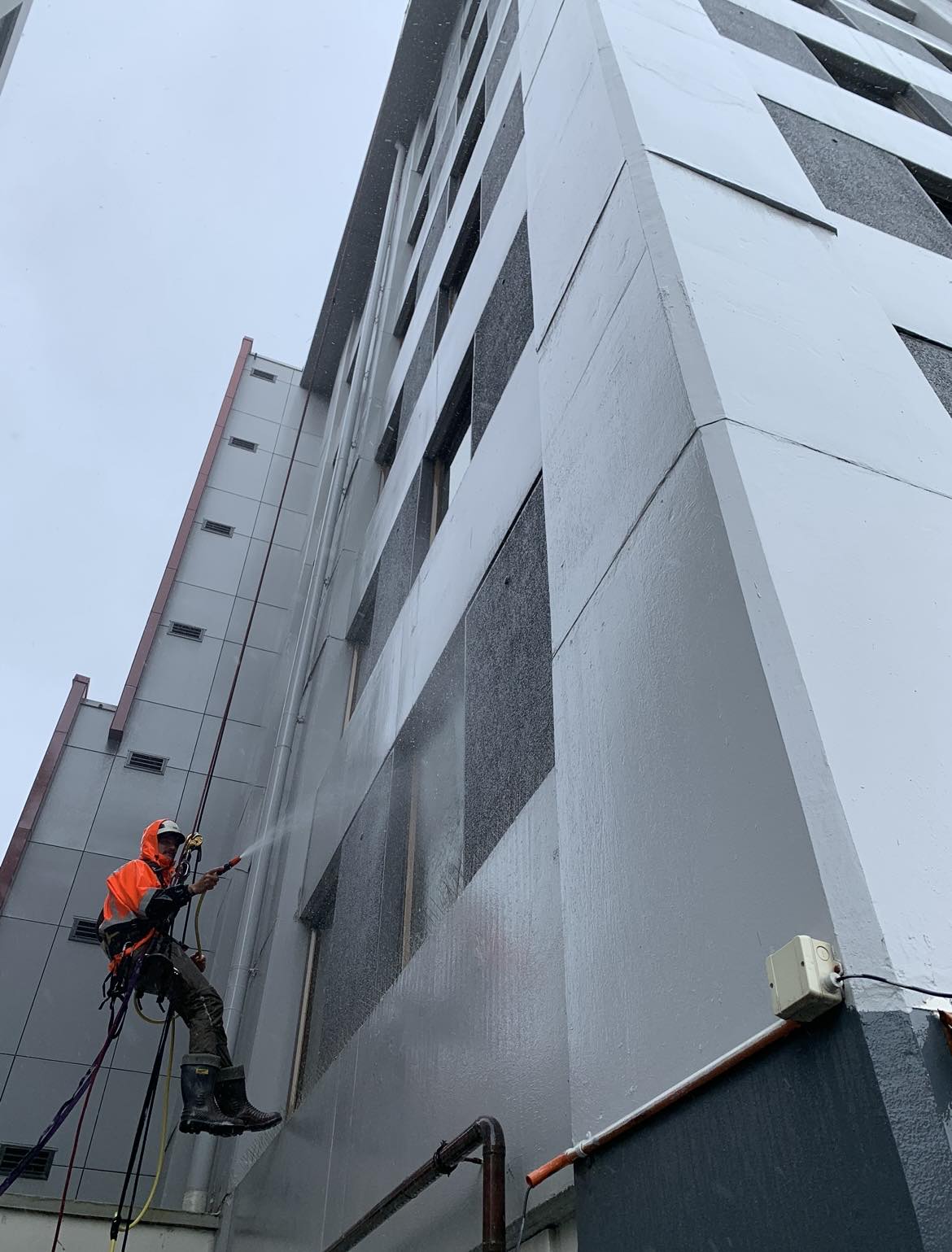 Rope access technician cleaning windows on a Wellington building