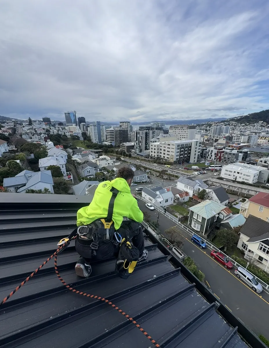 Gutter cleaning in progress