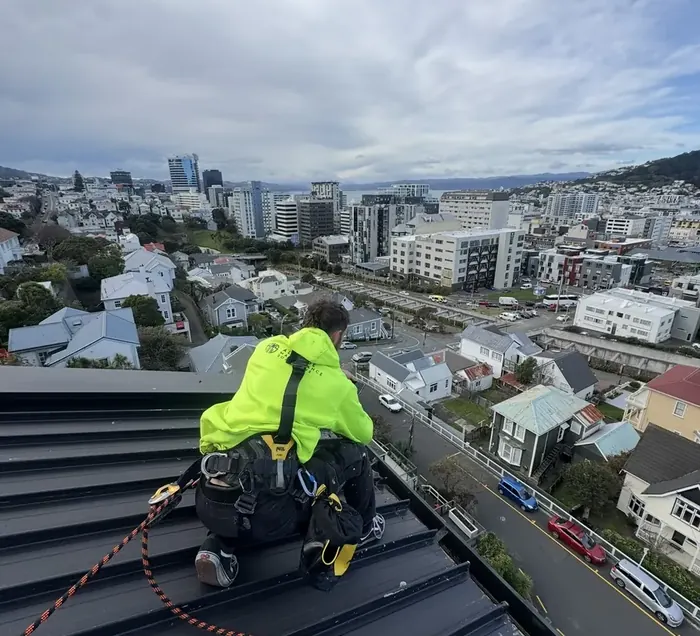 Technician working beside guttering on an elevated Wellington roof